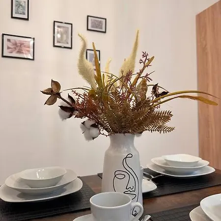 Apartamento 4 Personen, Zentrumsnah,ebk, Stellplatz *